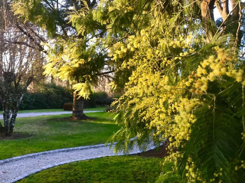 Crown Roads Bed and Breakfast Le Faouët Εξωτερικό φωτογραφία