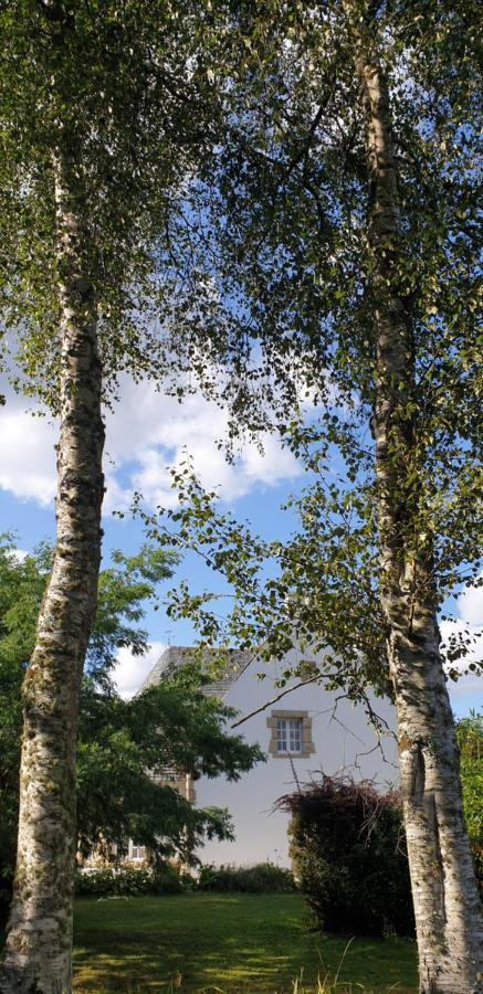 Crown Roads Bed and Breakfast Le Faouët Εξωτερικό φωτογραφία
