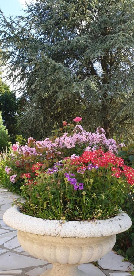 Crown Roads Bed and Breakfast Le Faouët Εξωτερικό φωτογραφία