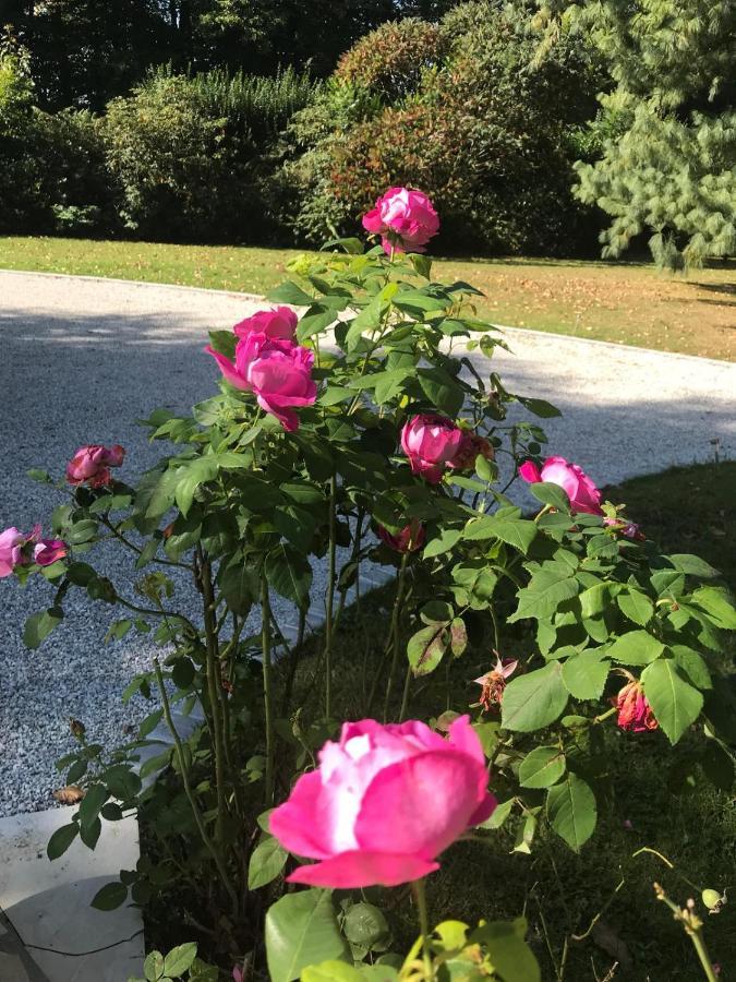 Crown Roads Bed and Breakfast Le Faouët Εξωτερικό φωτογραφία