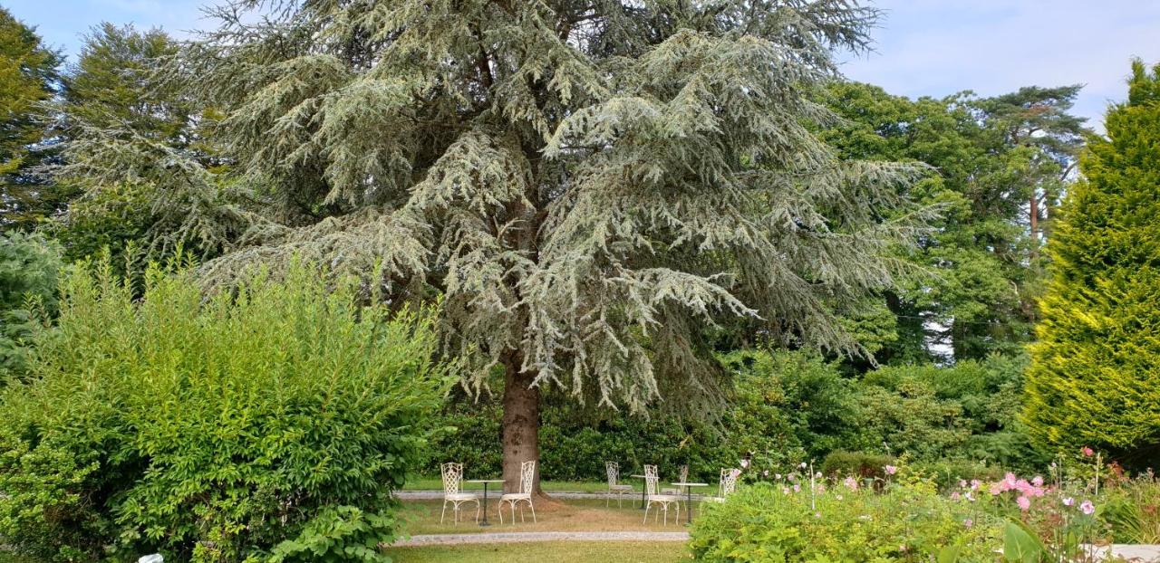 Crown Roads Bed and Breakfast Le Faouët Εξωτερικό φωτογραφία