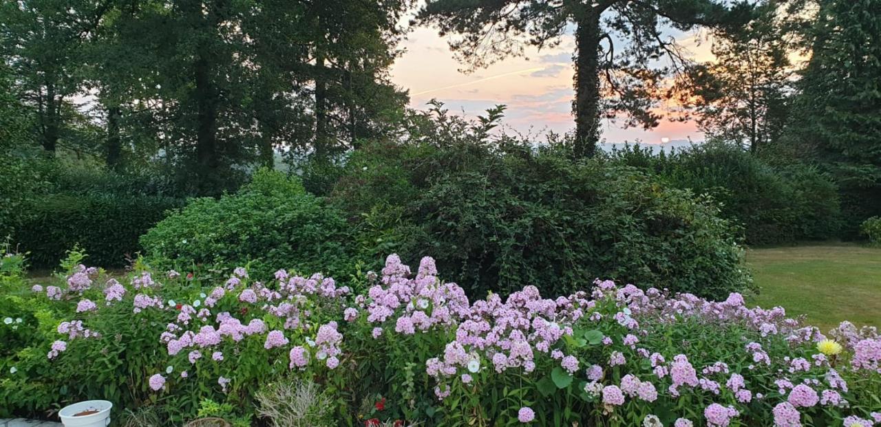 Crown Roads Bed and Breakfast Le Faouët Εξωτερικό φωτογραφία