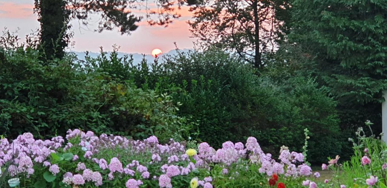 Crown Roads Bed and Breakfast Le Faouët Εξωτερικό φωτογραφία