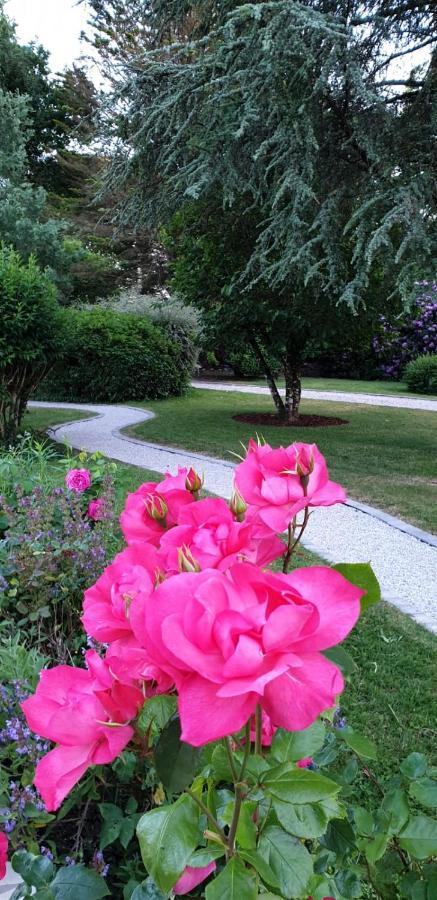 Crown Roads Bed and Breakfast Le Faouët Εξωτερικό φωτογραφία